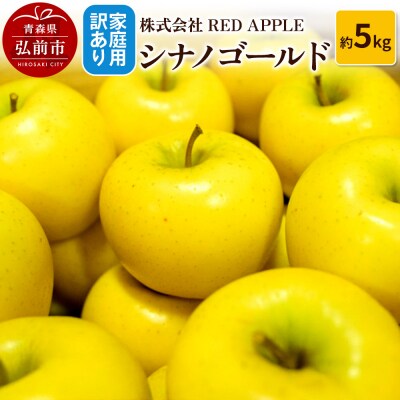 りんご【訳あり】家庭用 シナノゴールド 約5kg|24_rap-070501