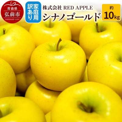 りんご【訳あり】家庭用 シナノゴールド 約10kg|24_rap-071001