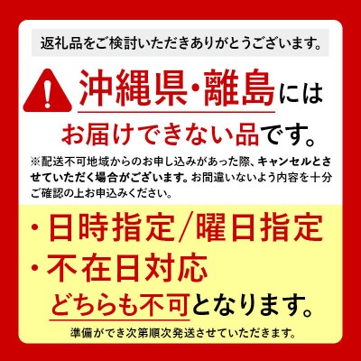 りんご【訳あり】家庭用 シナノゴールド 約10kg|24_rap-071001