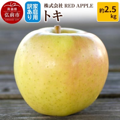 りんご【訳あり】家庭用 トキ 約2.5kg|24_rap-080201