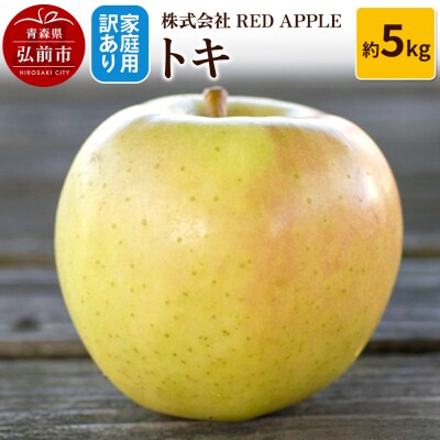 りんご【訳あり】家庭用 トキ 約5kg|24_rap-080501