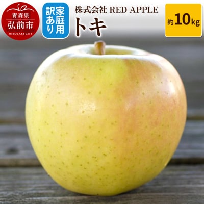りんご【訳あり】家庭用 トキ 約10kg|24_rap-081001