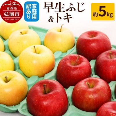 りんご【訳あり】家庭用 早生ふじ&トキ 約5kg|24_rap-110501