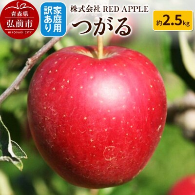りんご【訳あり】家庭用 つがる 約2.5kg|24_rap-120201