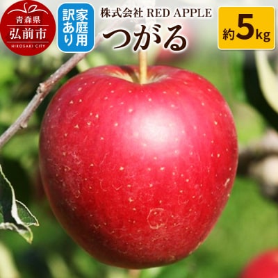 りんご【訳あり】家庭用 つがる 約5kg|24_rap-120501