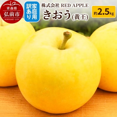 りんご【訳あり】家庭用 きおう(黄王)約2.5kg|24_rap-130201