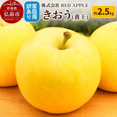 りんご【訳あり】家庭用 きおう(黄王)約2.5kg|24_rap-130201
