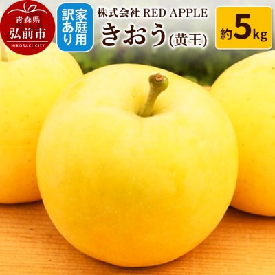 りんご【訳あり】家庭用 きおう(黄王) 約5kg|24_rap-130501