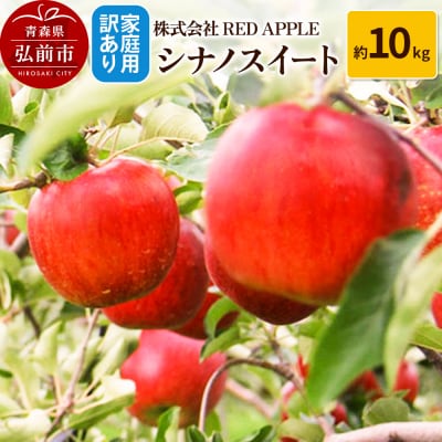 りんご【訳あり】家庭用 シナノスイート 約10kg|24_rap-141001