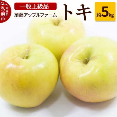 りんご トキ 一般用上級品 約5kg|24_saf-030501