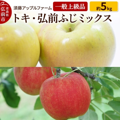 りんご トキ・ひろさきふじミックス 一般用上級品 約5kg|24_saf-040501