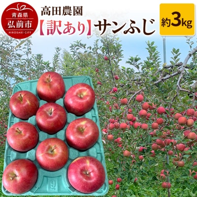りんご【訳あり】サンふじ 約3kg  弘前市産 青森りんご|24_tdn-020301