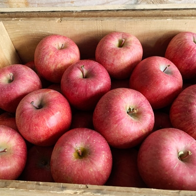 りんご【訳あり】サンふじ 約3kg  弘前市産 青森りんご|24_tdn-020301