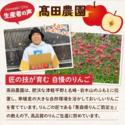 りんご【訳あり】サンふじ 約3kg  弘前市産 青森りんご|24_tdn-020301