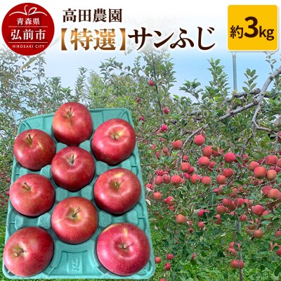 りんご【特選】サンふじ 約3kg  弘前市産 青森りんご|24_tdn-030301