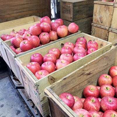 りんご【特選】サンふじ 約3kg  弘前市産 青森りんご|24_tdn-030301