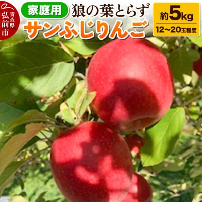 りんご サンふじりんご 狼の葉とらず 約5kg 家庭用【訳あり】|24_tsf-010501
