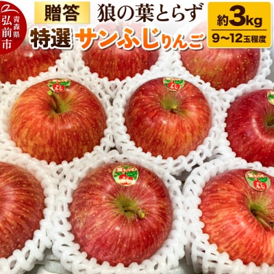 りんご サンふじりんご 狼の葉とらず 特選  約3kg【贈答用】|24_tsf-020301