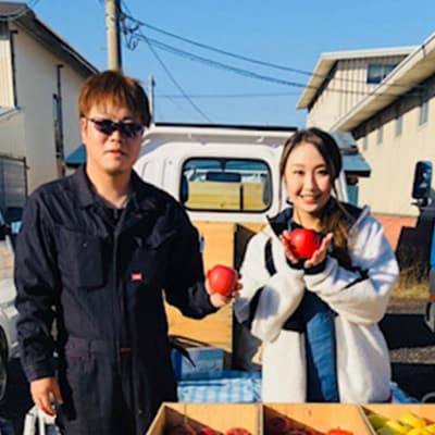 りんご サンふじりんご 狼の葉とらず 特選  約3kg【贈答用】|24_tsf-020301