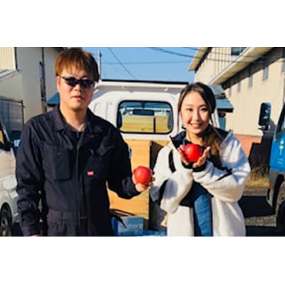りんご サンふじりんご 狼の葉とらず 特選  約3kg【贈答用】|24_tsf-020301
