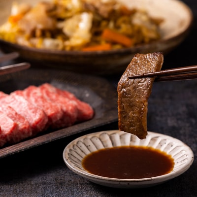 もつけダレ1本・もつけダレ清水森ナンバ1本 計2本セット|24_tsz-090101