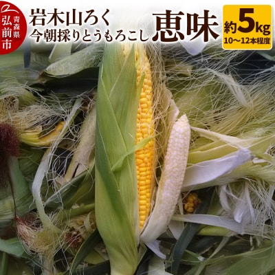 岩木山ろく 今朝採り とうもろこし 恵味 約5kg(10～12本程度)|24_ikr-030501