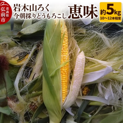 岩木山ろく 今朝採り とうもろこし 恵味 約5kg(10～12本程度)|24_ikr-030501