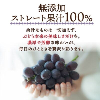 ぶどうジュース 紙パック 1L×4本入り 無添加 ストレート果汁100%|24_dcp-010401