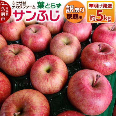 りんご 葉とらずサンふじ 約5kg 家庭用 訳あり ちとせ村|24_cmn-030501b