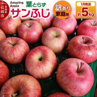 【27年1月発送】りんご 葉とらずサンふじ【訳あり】家庭用 約5kg|24_cmn-030501b