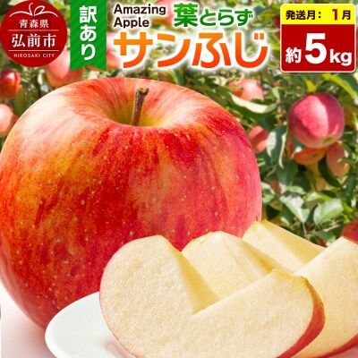【27年1月発送】りんご 葉とらずサンふじ【訳あり】家庭用 約5kg|24_cmn-030501b