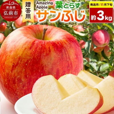 【26年11月下旬発送】りんご 葉とらずサンふじ【贈答用】約3kg|24_cmn-040301a