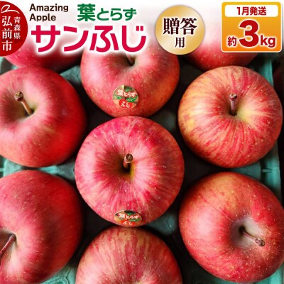 【27年1月発送】りんご 葉とらずサンふじ【贈答用】約3kg|24_cmn-040301b