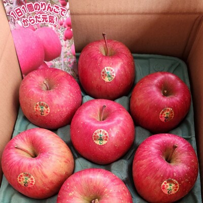 【27年1月発送】りんご 葉とらずサンふじ【贈答用】約3kg|24_cmn-040301b