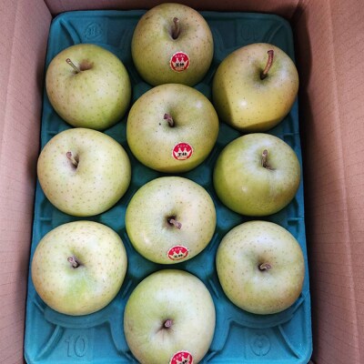 りんご【贈答用】王林 約3kg|24_cmn-050301a