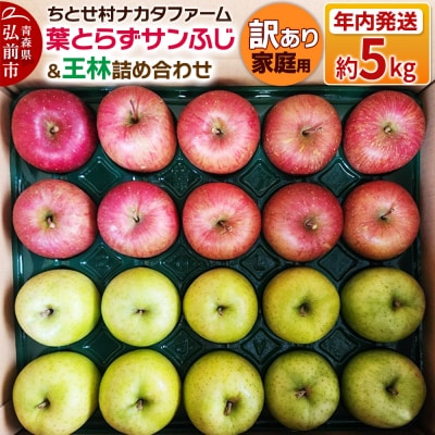 りんご 葉とらずサンふじ & 王林 詰め合わせ 約5kg 訳あり|24_cmn-070101a