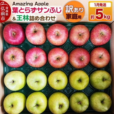 りんご 葉とらずサンふじ&王林 詰め合わせ【訳あり】家庭用 約5kg|24_cmn-070101b