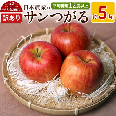 りんご  サンつがる 約5kg 訳あり|24_nng-010501a