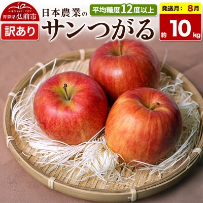 【26年8月クール便発送】りんご サンつがる 約10kg【訳あり】|24_nng-011001ac