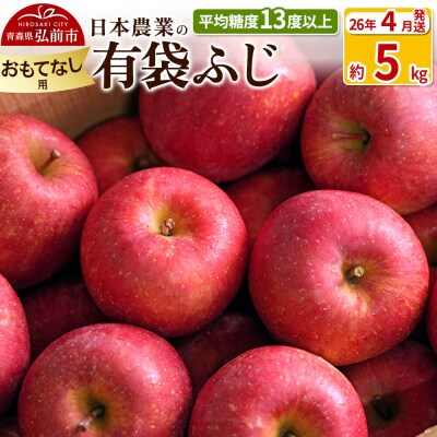 りんご【26年4月出荷】 有袋ふじ 約5kg おもてなし用 CA貯蔵|24_nng-490501bk
