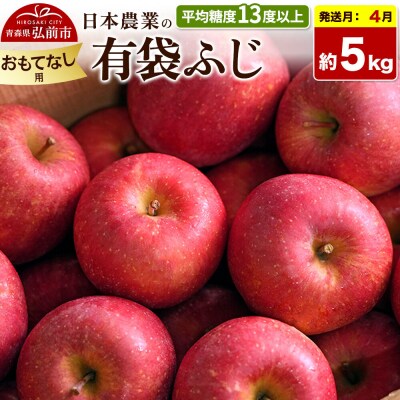 りんご【27年4月発送】有袋ふじ【おもてなし用】約5kg CA貯蔵|24_nng-490501bk