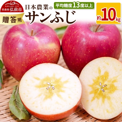 りんご  サンふじ 約10kg 贈答|24_nng-121001c