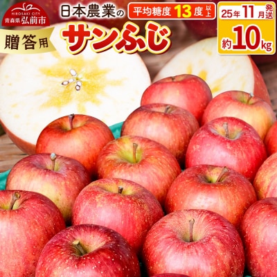 りんご 【25年11月出荷】 サンふじ 約10kg 贈答|24_nng-121001cf