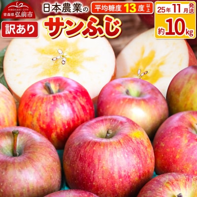 りんご 【25年11月出荷】 サンふじ 約10kg 訳あり|24_nng-121001af