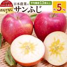 りんご  サンふじ 約5kg おもてなし用|24_nng-120501b