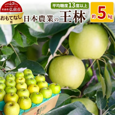 りんご  王林 約5kg おもてなし用|24_nng-110501b