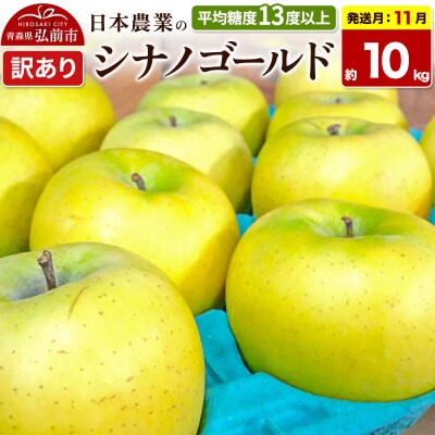 【26年11月発送】りんご シナノゴールド【訳あり】約10kg|24_nng-101001af