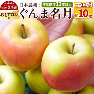 りんご 【25年11月出荷】 ぐんま名月 約10kg おもてなし用|24_nng-091001bf