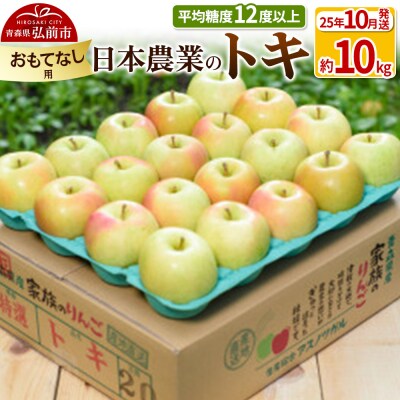 りんご 【25年10月出荷】 トキ 約10kg おもてなし用|24_nng-061001be