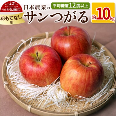 りんご  サンつがる 約10kg おもてなし用|24_nng-011001b